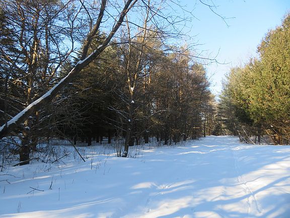 3rd image of LOT 2 E Lincoln Ave