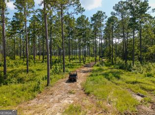 0 Henry Moxley Rd, Cobbtown, GA 30420