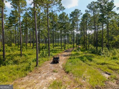 0 Henry Moxley Rd, Cobbtown, GA, 30420
