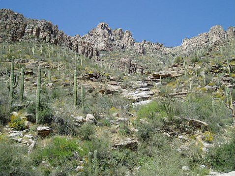 Walk to Sabino Canyon