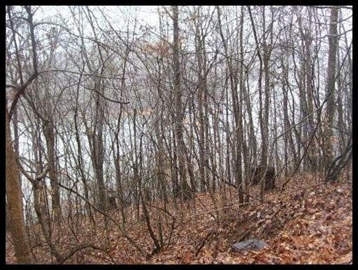 1st image of Hiwassee Dr