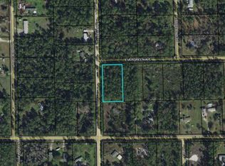 4437 Evergreen Ave, Bunnell, FL 32110
