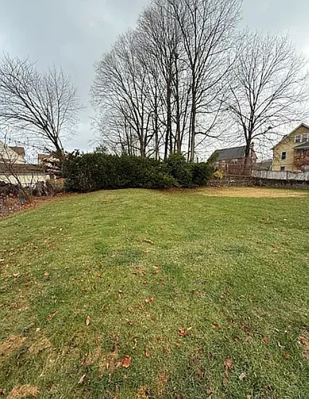 Shared Backyard