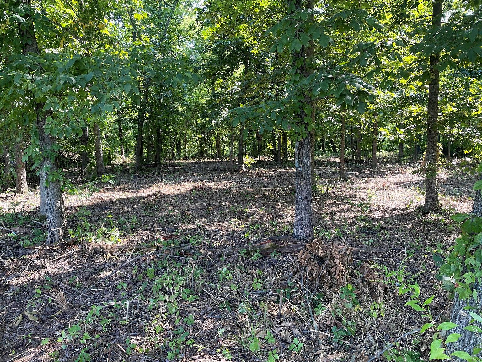 0 Driftwood Ln, Albers, IL 62215 Zillow