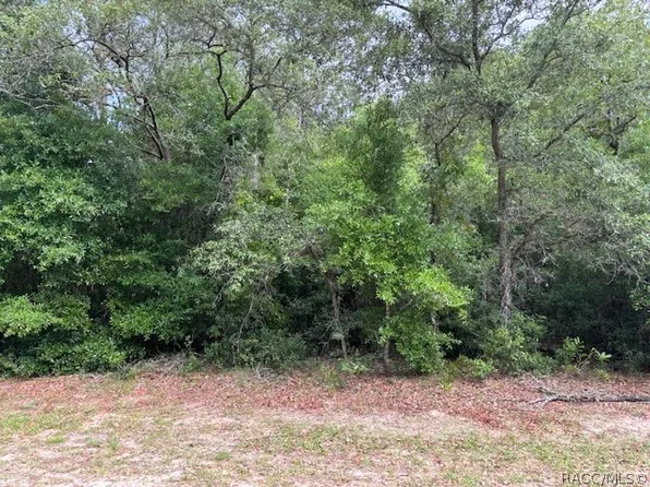 4270 N Indianriver Dr, Hernando, FL 34442