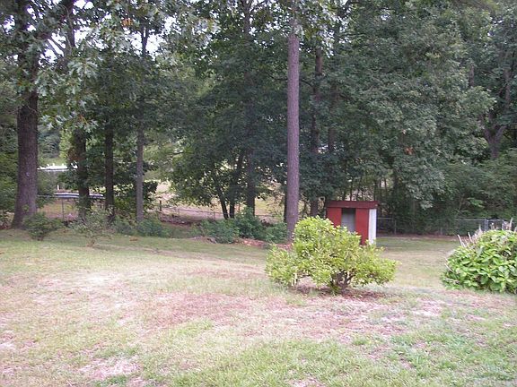 View from Back Porch