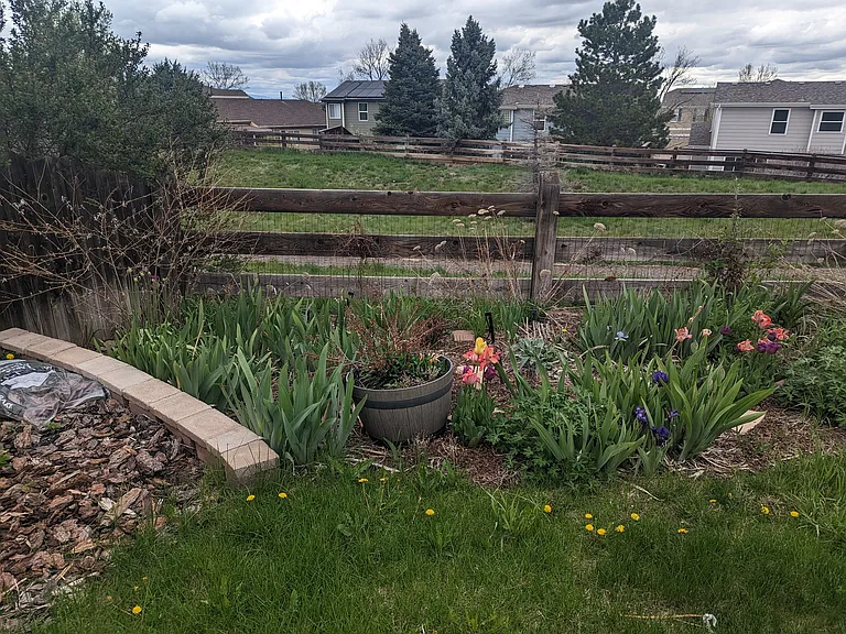 5747 Jaguar Way — Photo 37