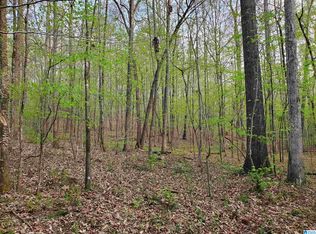Evelyn Dr #31, Steele, AL 35987