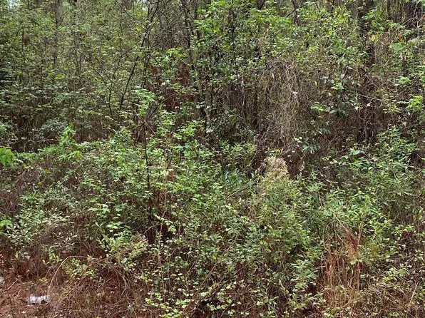 3 Coleman Chapel Rd, Swainsboro, GA 30401