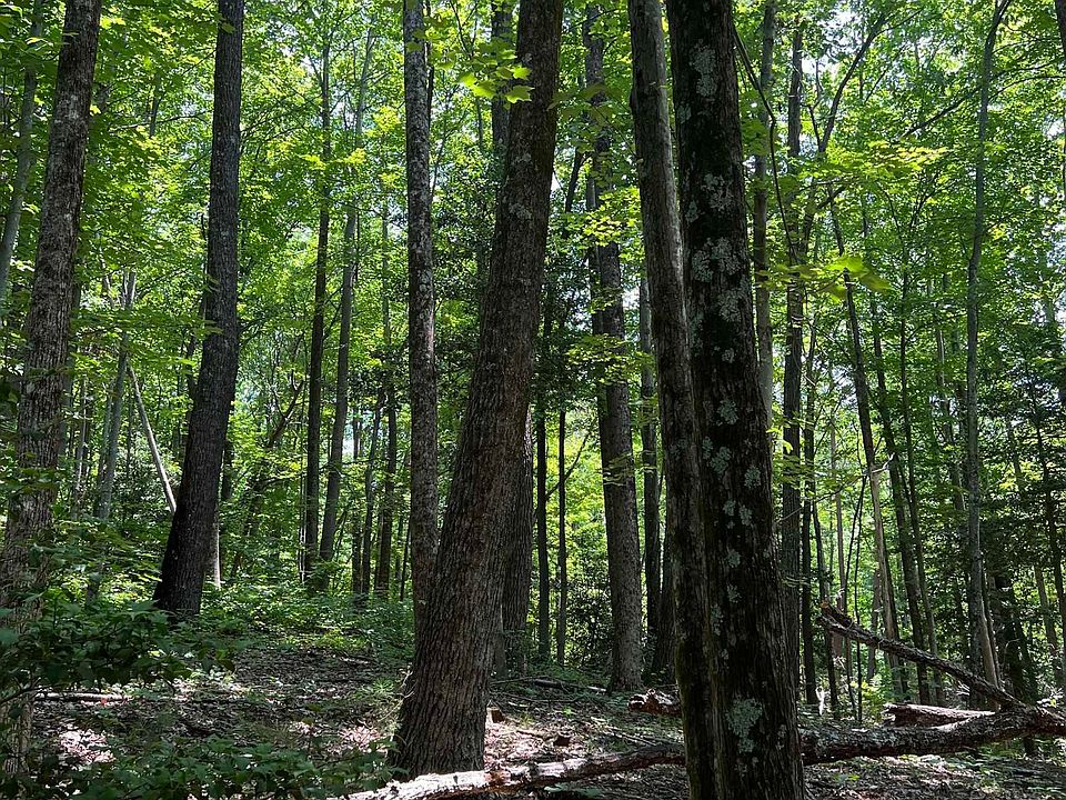 1st image of Nightshade Ct Lot 204