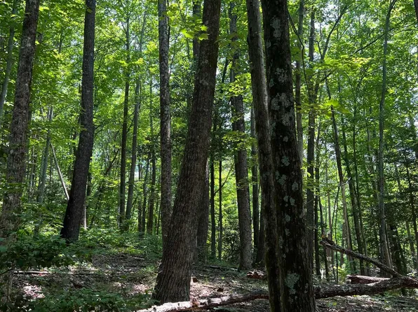 Nightshade Ct Lot 204, Landrum, SC 29356