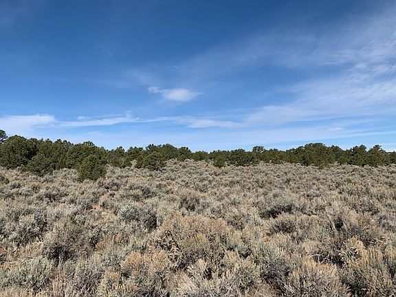 4th image of Off Of 131 C Mesa Las Viejas Tierra