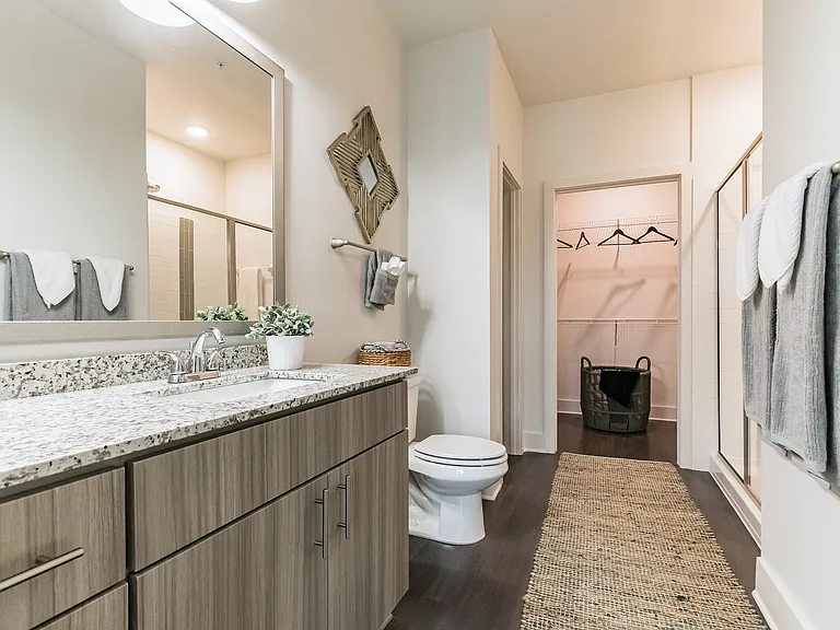 Primary Bathroom View of Sink/Vanity, Walk-in Closet and Walk-in Shower