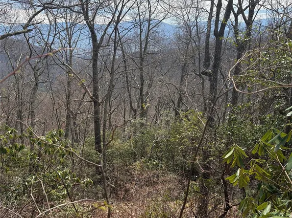 Running Deer Trl #287, Waynesville, NC 28786