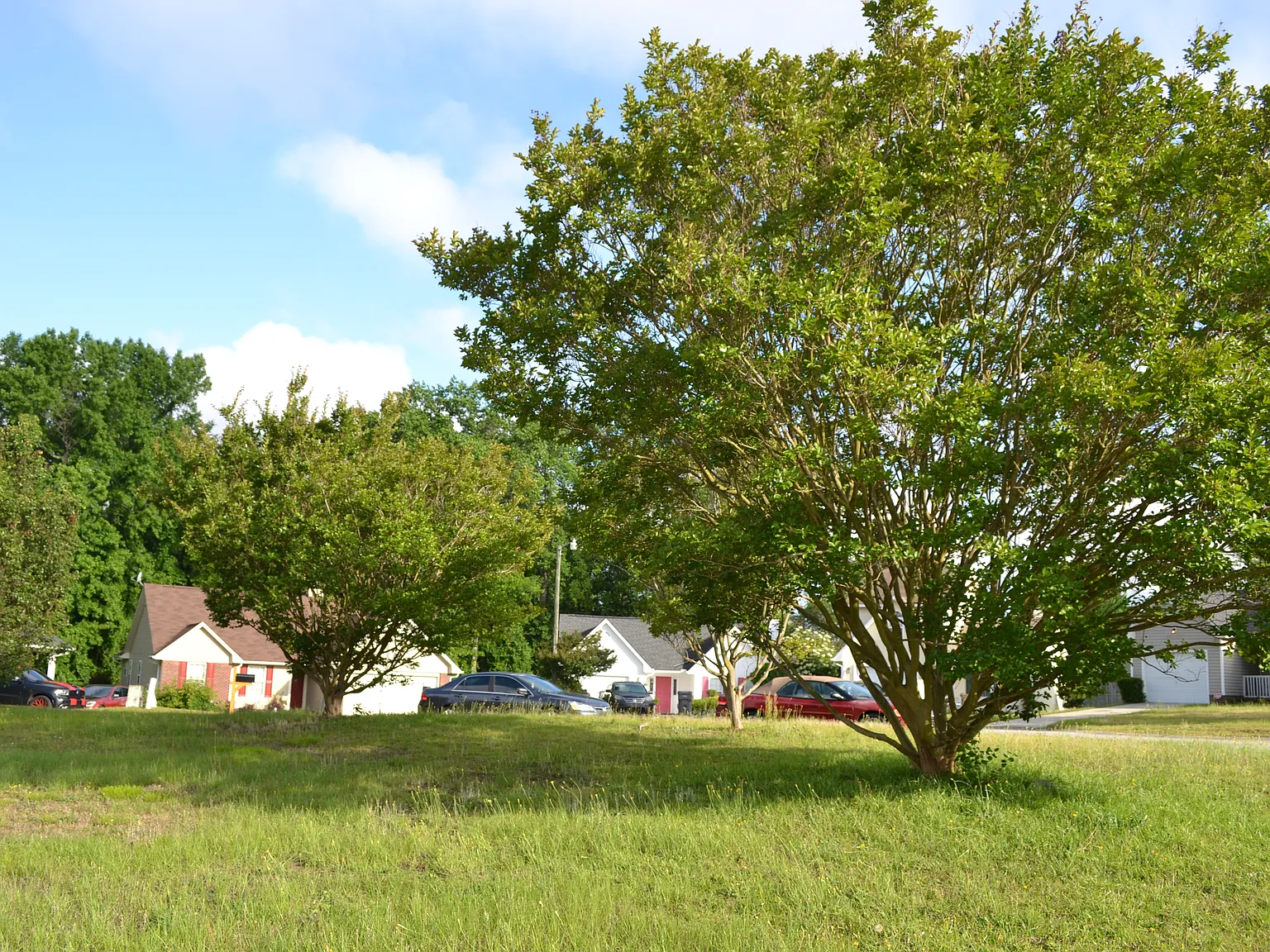 3 bed, 1374 sqft, $1,700 — Photo 4