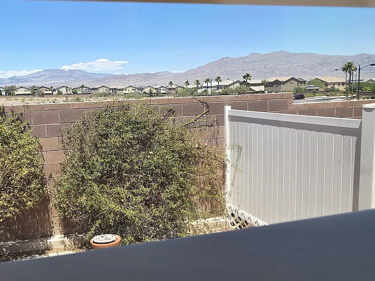 7884 Clearweed Ct — Photo 20