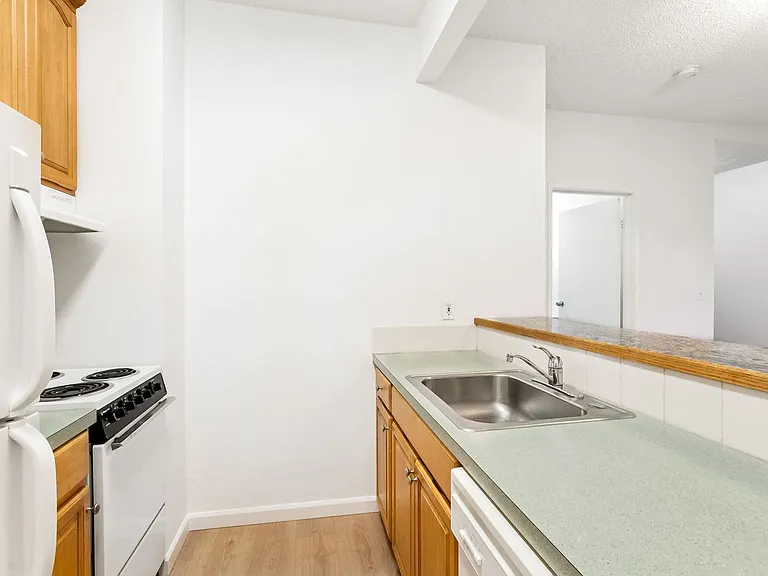 Pine Street Apartments — Photo 4