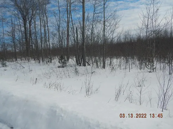 0000 Scout Trail, Ojibwa, WI 54862