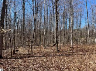 PARCEL 2 King Rd, Benzonia, MI 49616