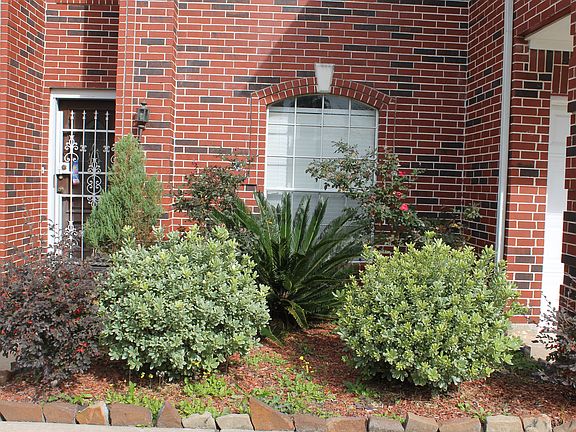 Pretty well maintained yard