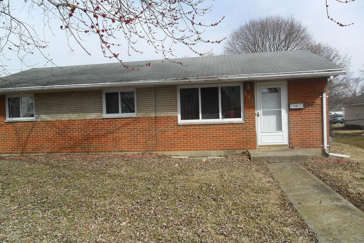 244 Forest Ave photo 1