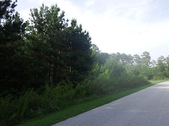 5th image of 976 Eagles Harbor Dr Lot 157