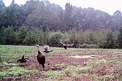 5th image of 672-A31 Hines Rd
