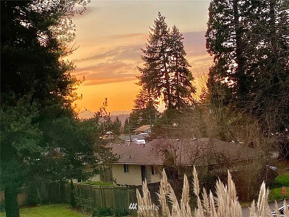Peek-a-boo view of the Olympics Mountains from living room 