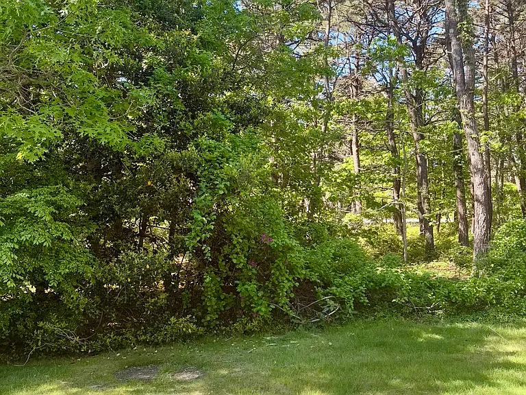 Grosbeak Gardens — Photo 20