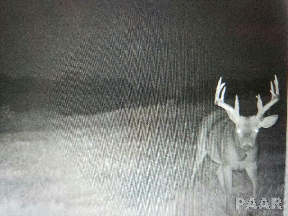 2nd image of 0 E Shoop