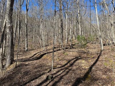 LOT 95/97 Asheland Cove Dr, Young Harris, GA, 30582