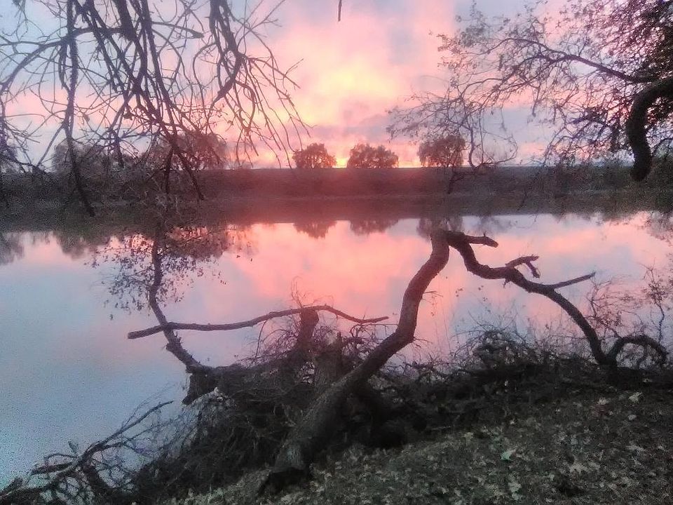 2nd image of 0 Garden Hwy