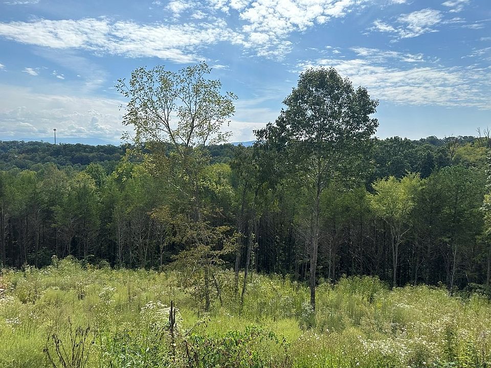 2nd image of 133 Red Cedar Ridge Rd Lot 133
