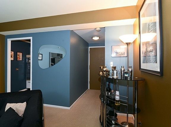 4th image of 1150 N Lake Shore Dr APT 3H