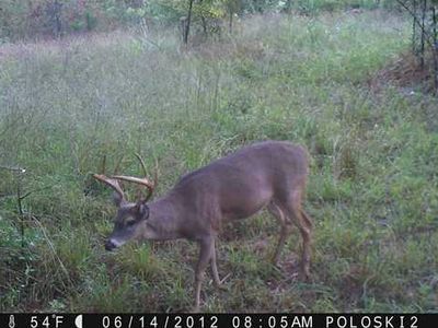 0 Spring Rd, Flora, MS, 39071