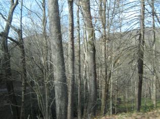 2 The Cove Flt #GAP, Cullowhee, NC 28723