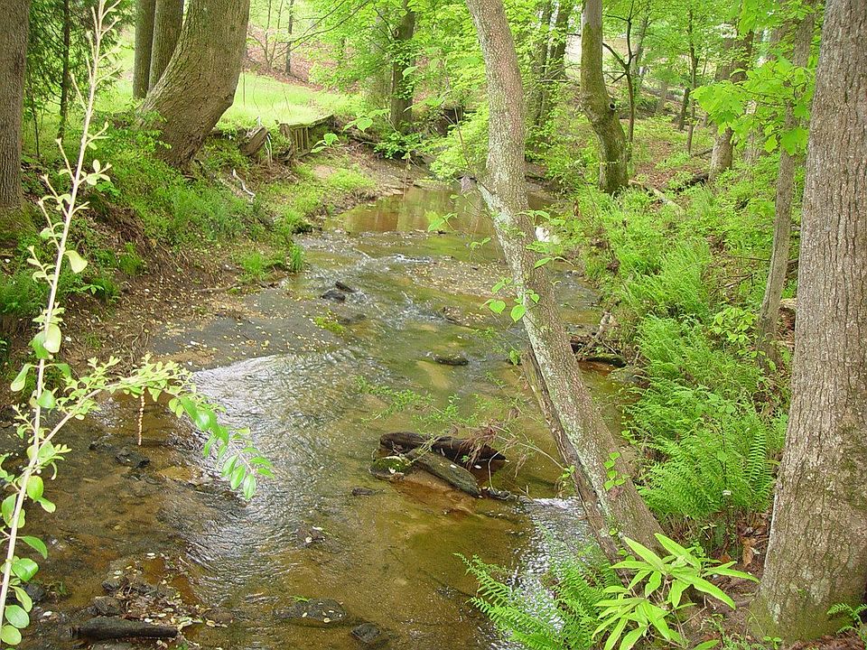 Creek on property