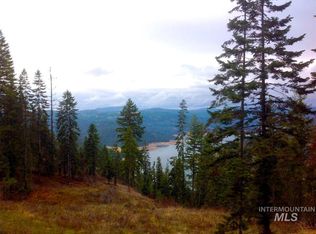 PARCEL 13 Tie Creek Dr, Orofino, ID 83544