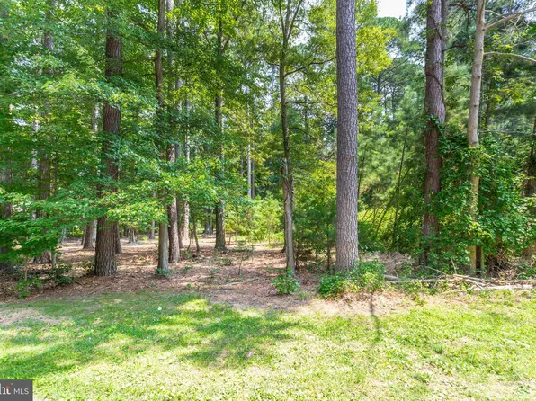 14855 Ivanhoe Ct, Issue, MD 20645