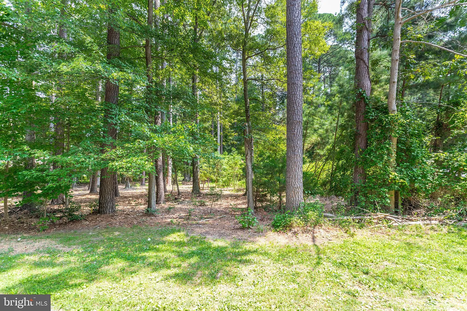 14855 Ivanhoe Ct photo 1