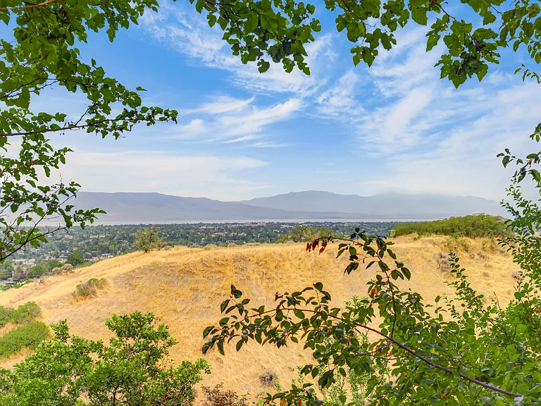 3983 Quail Ridge Dr — Photo 3