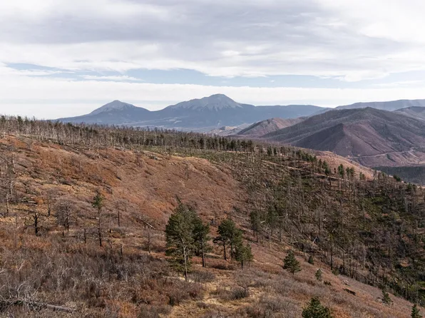 LOT 9 La Veta Acres, La Veta, CO 81055