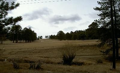 Walk to the Golf Course