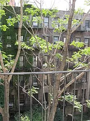 Rented by Centennial Properties NY