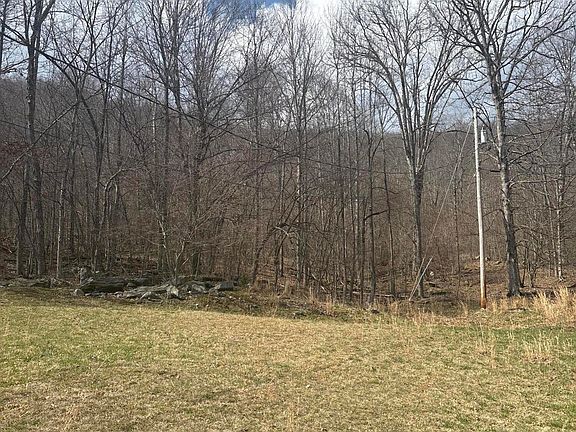 2nd image of 491 Grassy Creek Rd