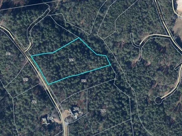 224 Vineyard Park, Sunset, SC 29685