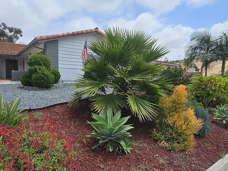 Free Landscaping!