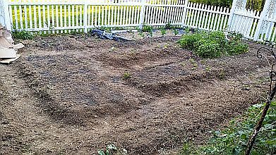  Herb garden in front