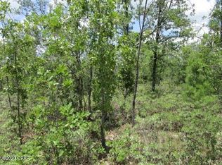 20948 NW Lakeview Dr, Altha, FL 32421