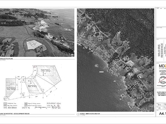 4th image of 91 Wild Iris